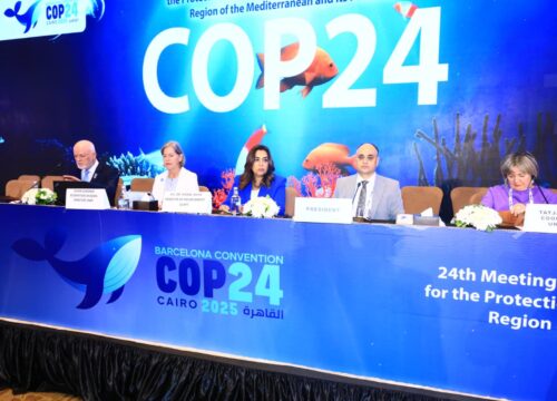 [December 4th 2025] Egypt Brings Together Ministers and Representatives of 21 Mediterranean Countries, Regional and International Organizations