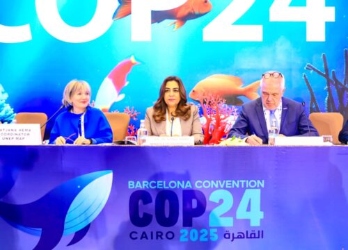 [December 2nd 2025] On the For the First Time, Egypt Assumes the Presidency of COP24